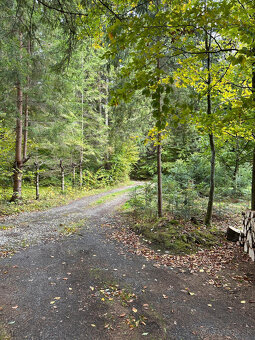 NA PREDAJ: REKREAČNÁ CHATA HORNÁ LEHOTA,KRPÁČOVO NÍZKE TATRY - 14