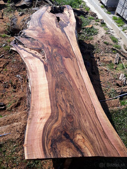 Predám foršne - 14