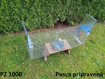 Pasca na kuny, potkany a túlavé mačky - 14