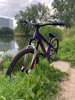 Ctm dirtking 2024 pro - 14