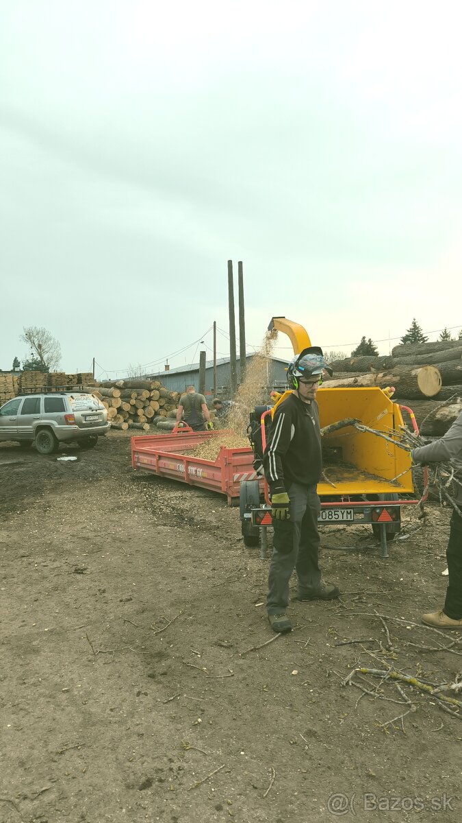 Rizikové orezávanie a výruby stromov, Arboristika - 15