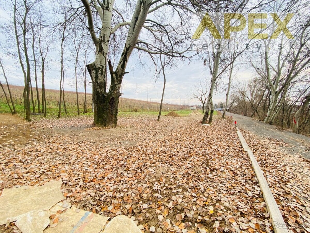 APEX reality stavebný pozemok 2019 m2 v obci Bojničky - 15