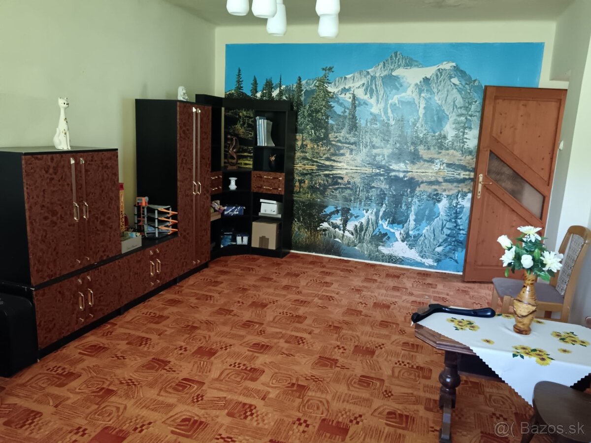 Rodinný dom s velkým pozemkov v blízkosti kupelov Dudince - 15