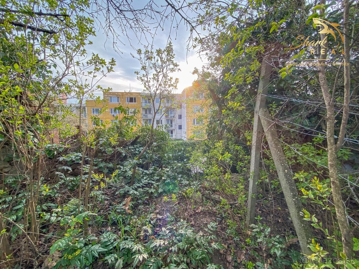 Znížená cena - Jedinečná príležitosť - Historický vinársky d - 15