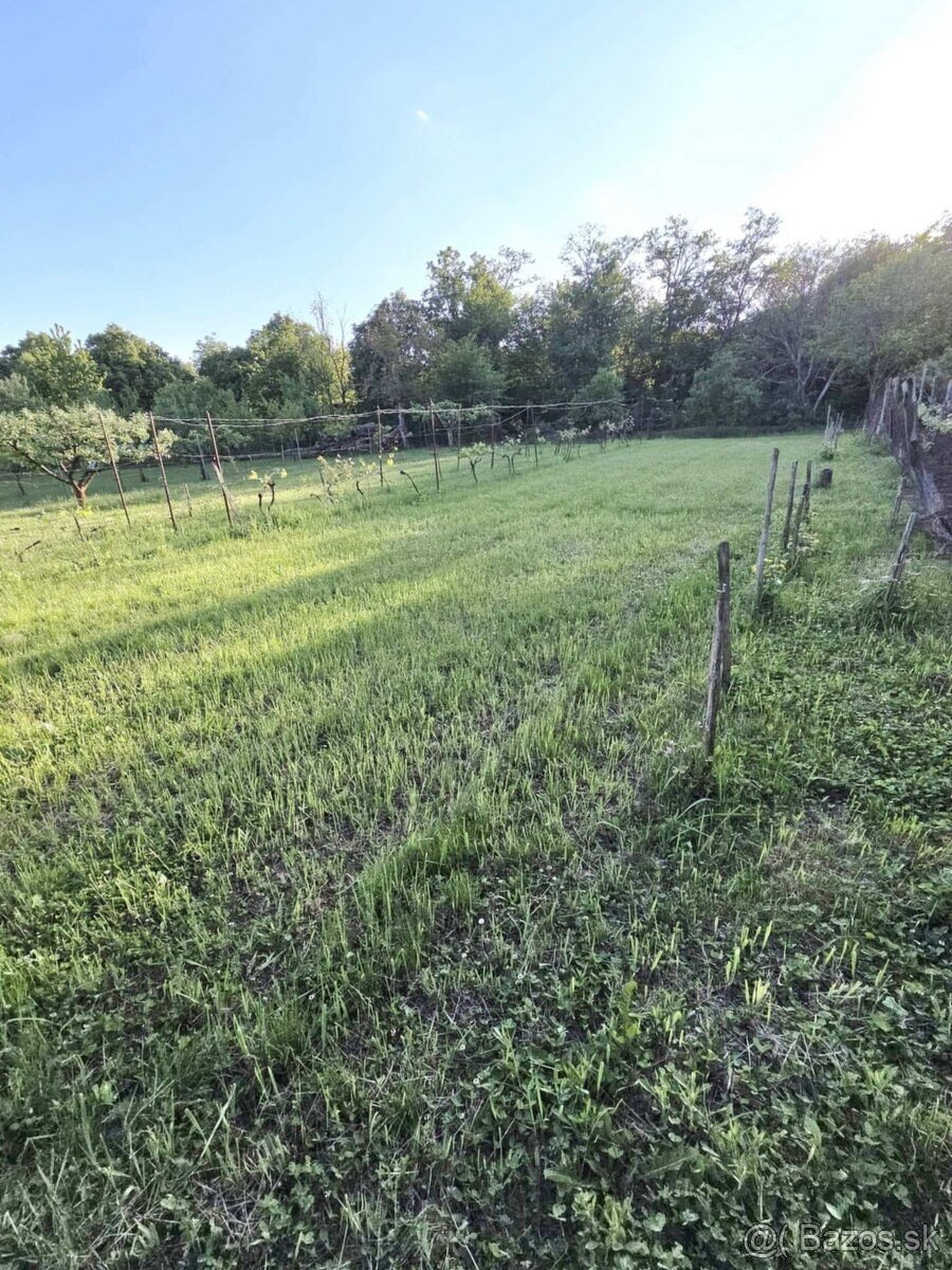 PREDAJ poschodový dom v obci Pastovce s pekným pozemkom - 15