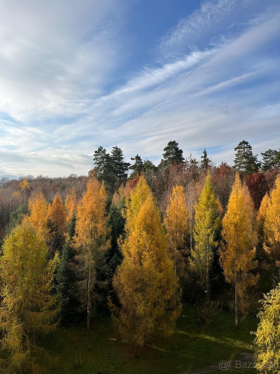 2-izb.slnečný byt s balkónom - 15