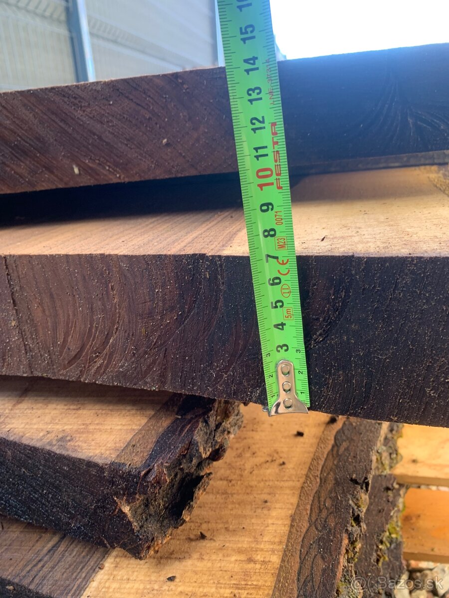 Orechove forsne z krásnou kresbou - 15