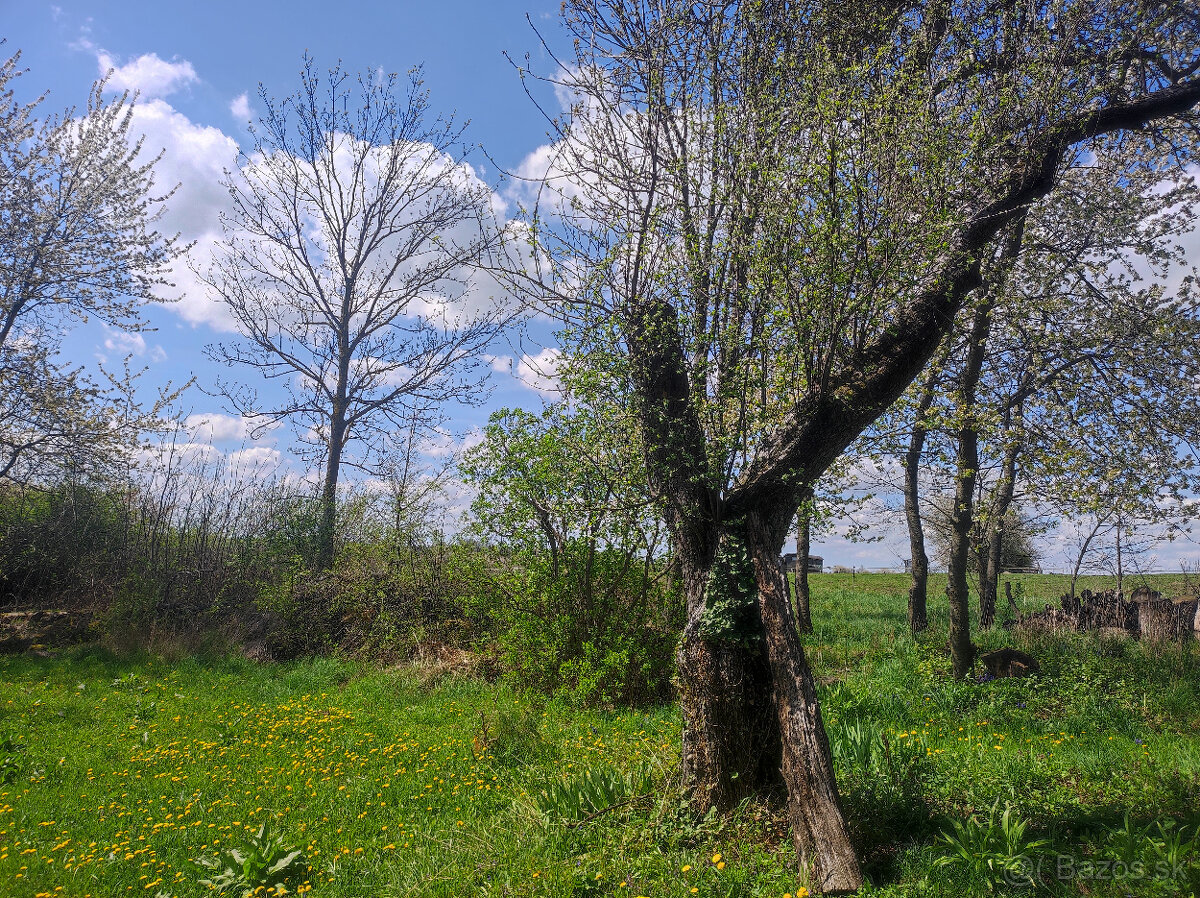 Predám usadlosť na polosamote - 15