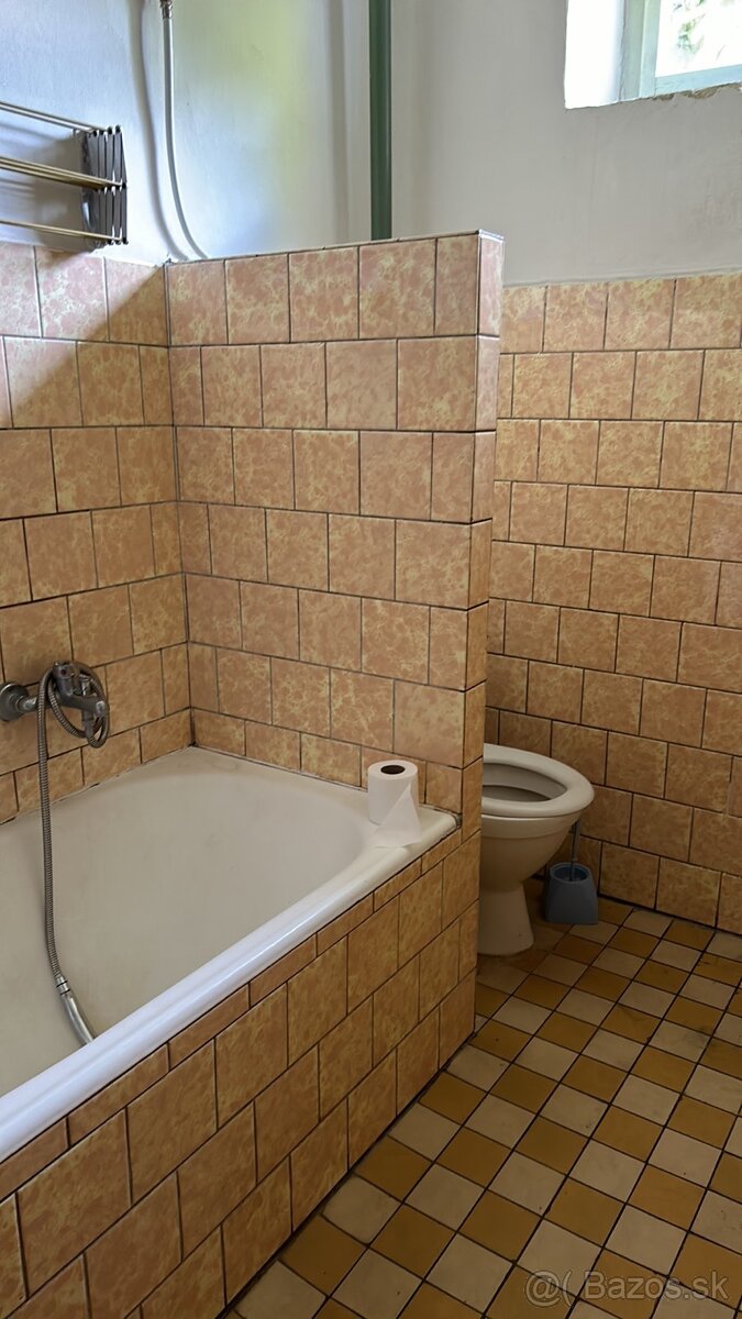 Rodinny dom Vydrany 2 km od Dun.Stredy. - 15