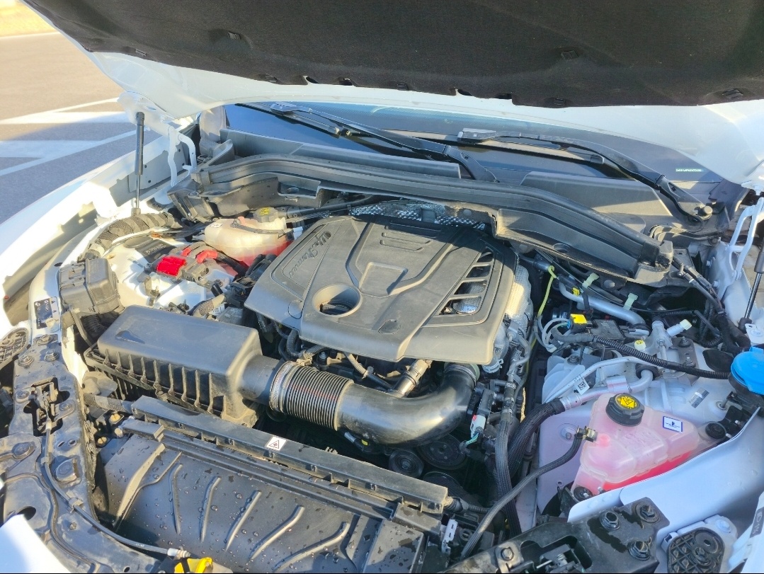 Alfa Romeo Stelvio 2.0 Q4 2022 - 15