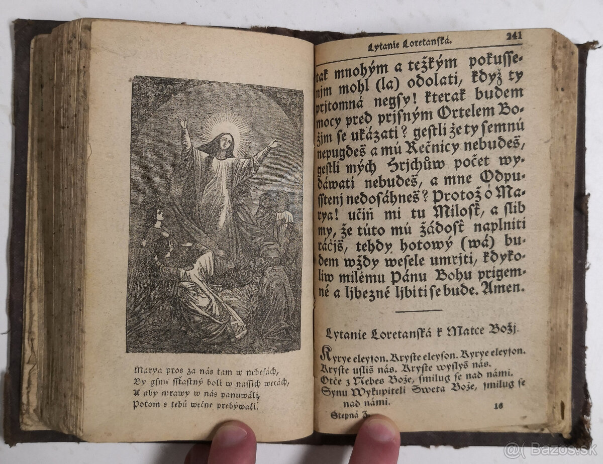 Stepná zahradka 1850 - 15