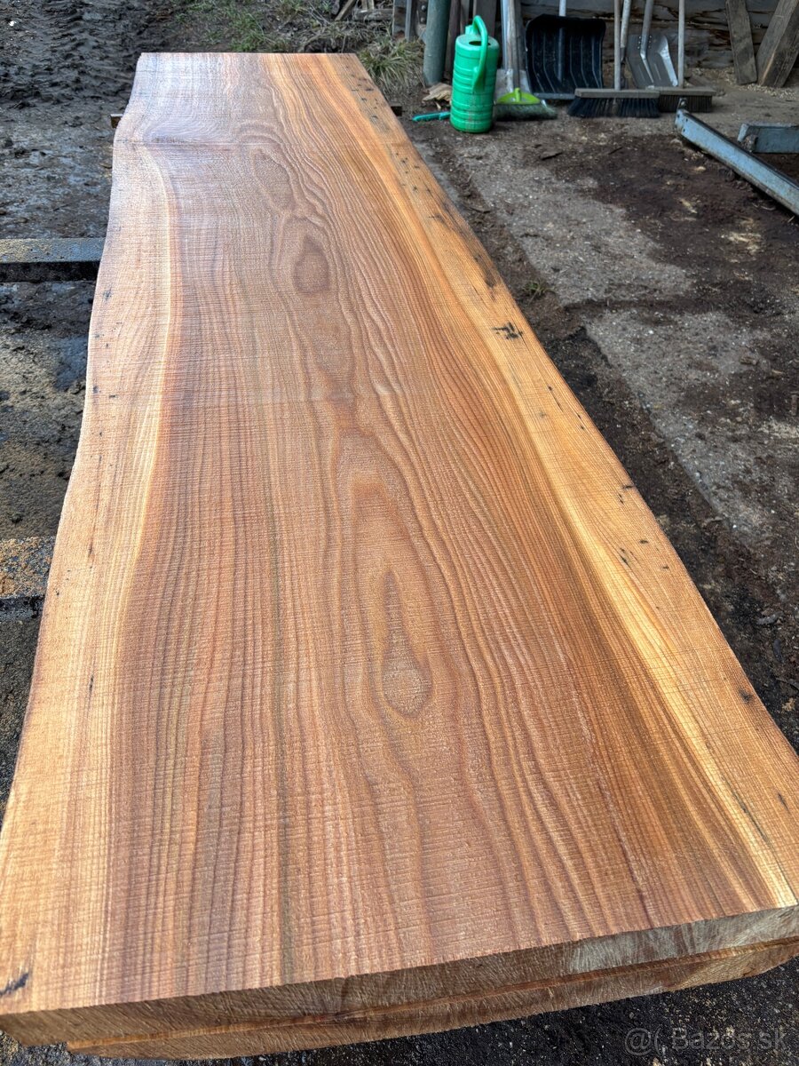 Rezivo Brest Brestove Fošne Kmene Drevo - 15