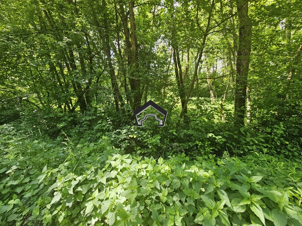 Záhrada vo Zvolene - 15