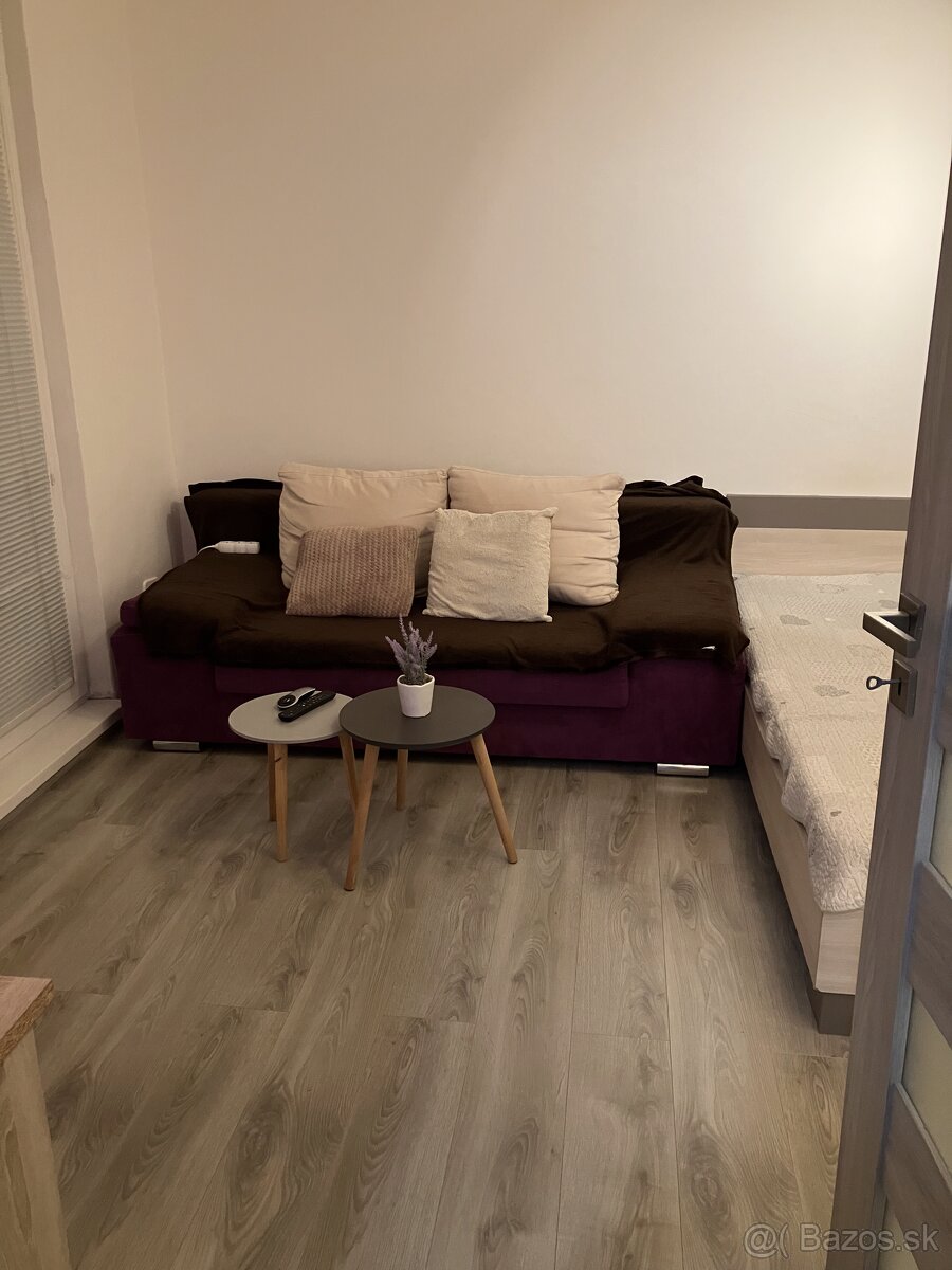 1izbovy byt prenájom - 15