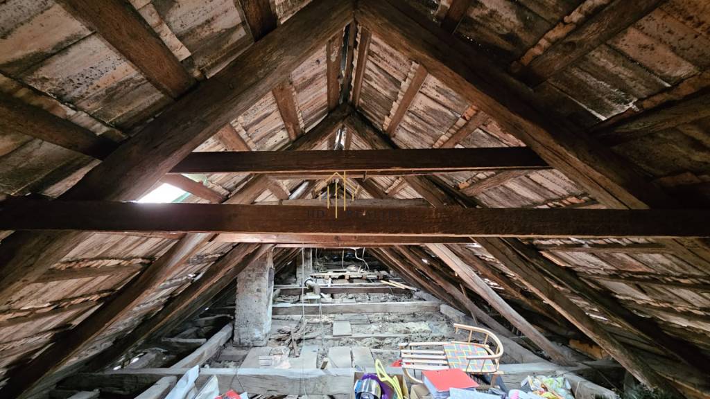 HD reality , Predaj, obchodného priestoru, Krupina - 15