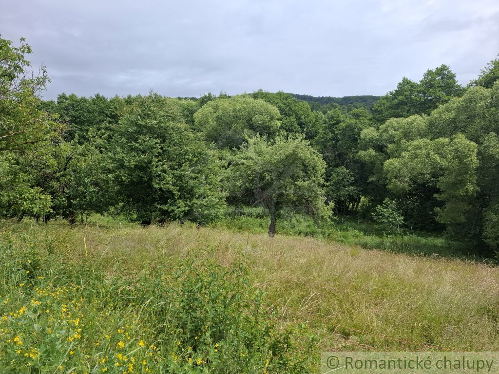 Rodinný dom v srdci Záježovských lazov - 15