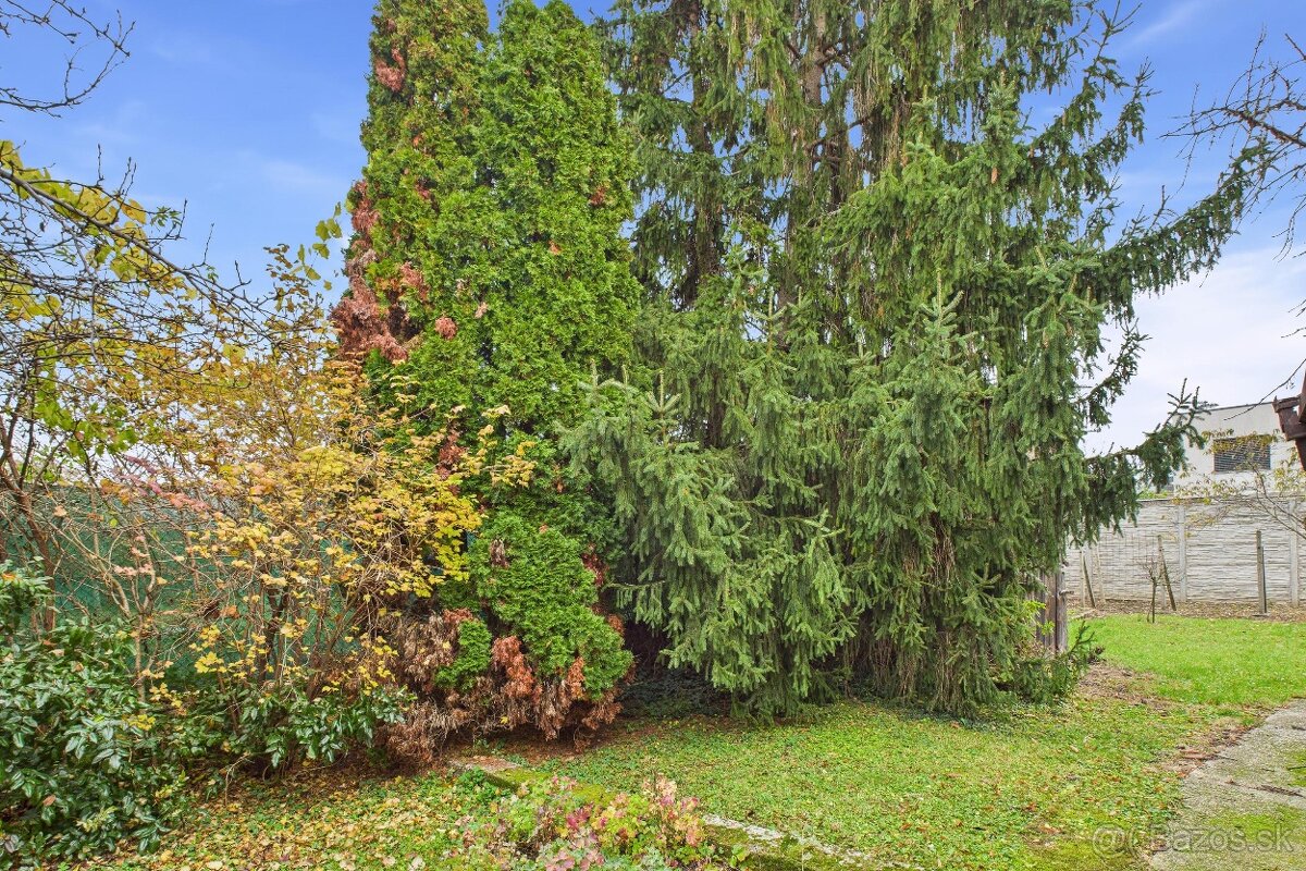 Vidiecky 3-izbový rodinný dom s letnou kuchyňou a dielňami – - 15