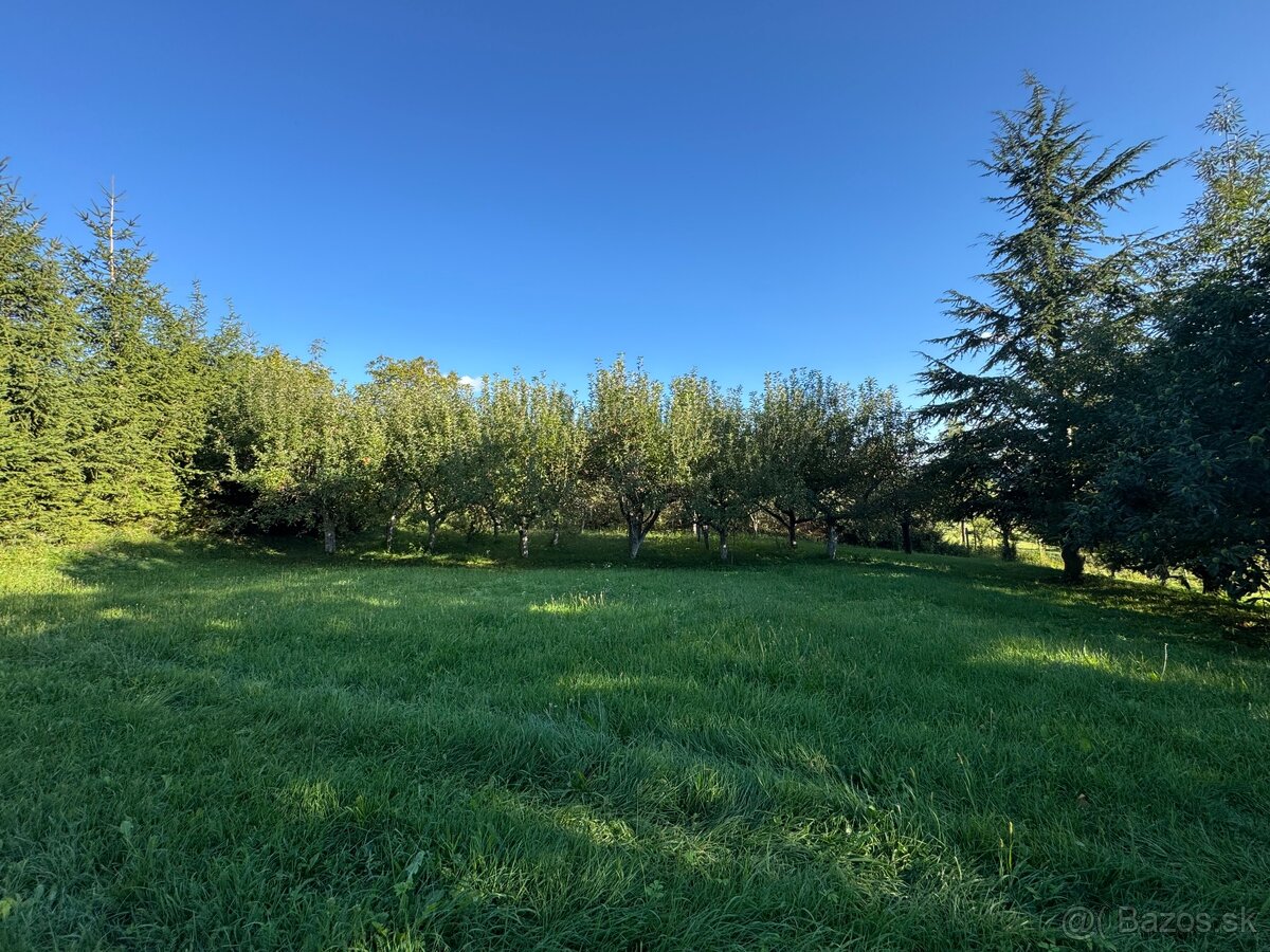 Rodinný dom s jazierkom pod lesom - 15