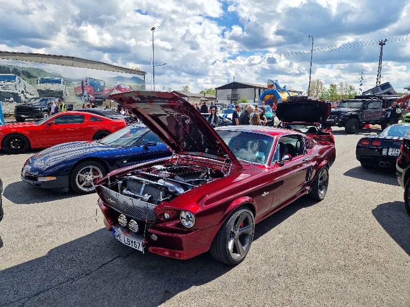 ELEANOR Mustang Shelby GT500 - 15