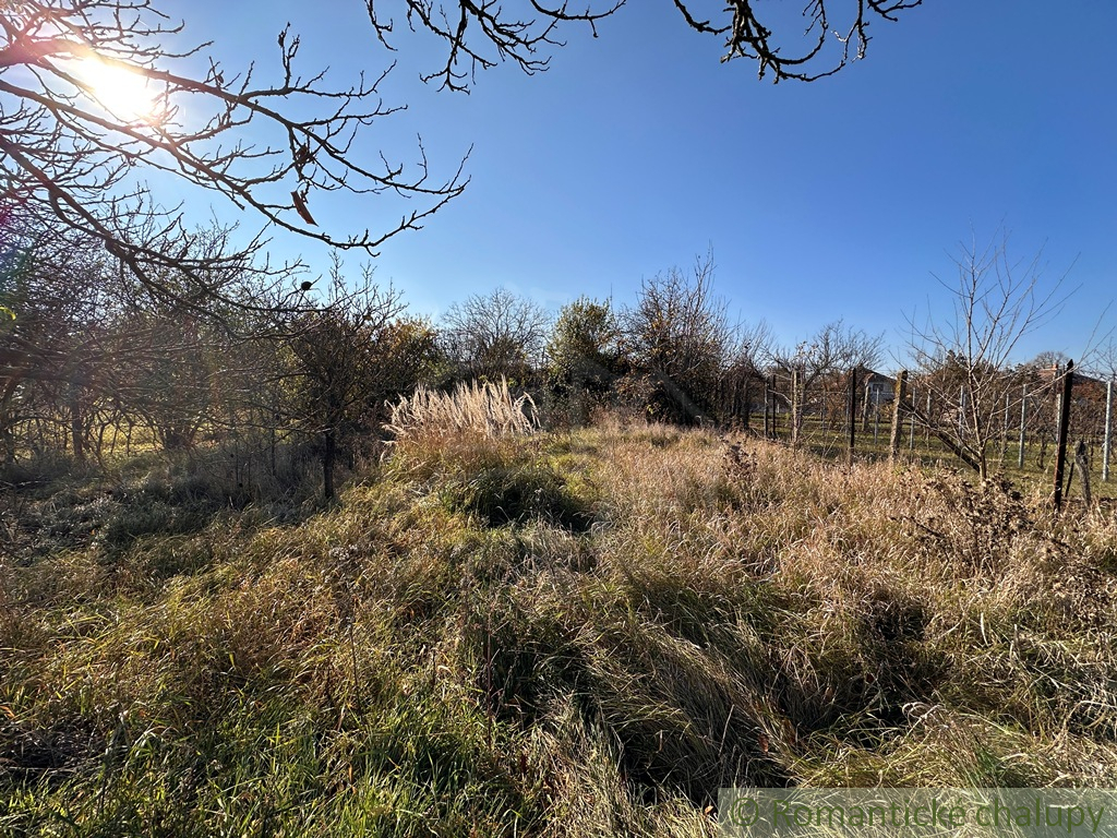 Starý sedliacky dom na veľkom pozemku – vhodné na výstavbu - 15