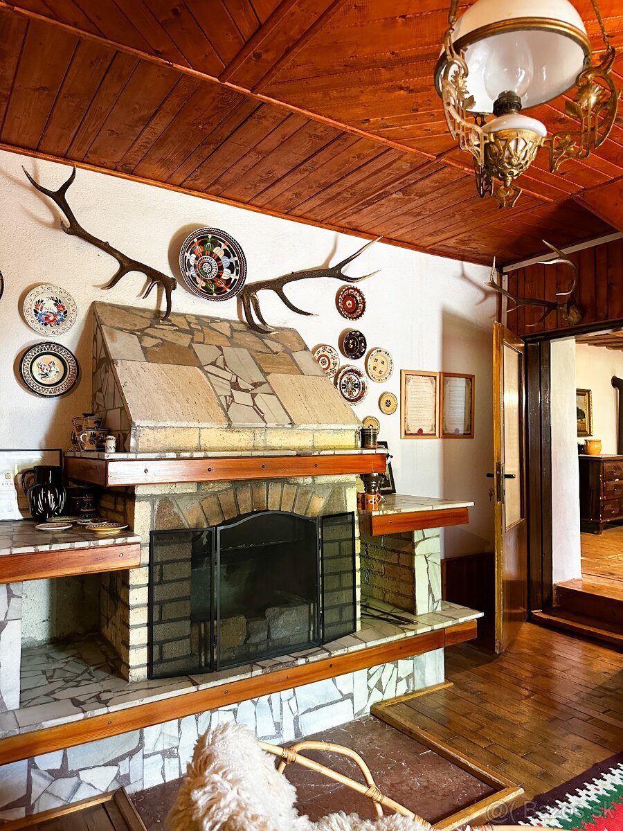 Rozsiahly pozemok s chatou v obci Hrušov - 15