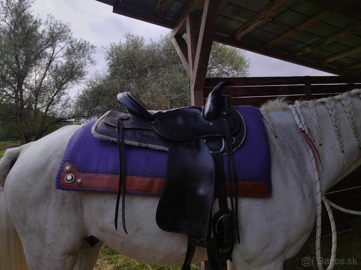 Jazdecke potreby na kona - 15