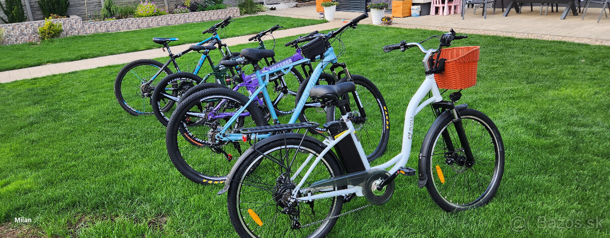 Retro dámsky bicykel - 15