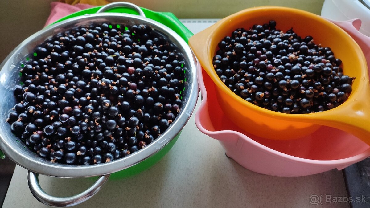 ‼️ ZÁHRADA-KOŠICE/JAZERO‼️celoročný prístup‼️ - 15