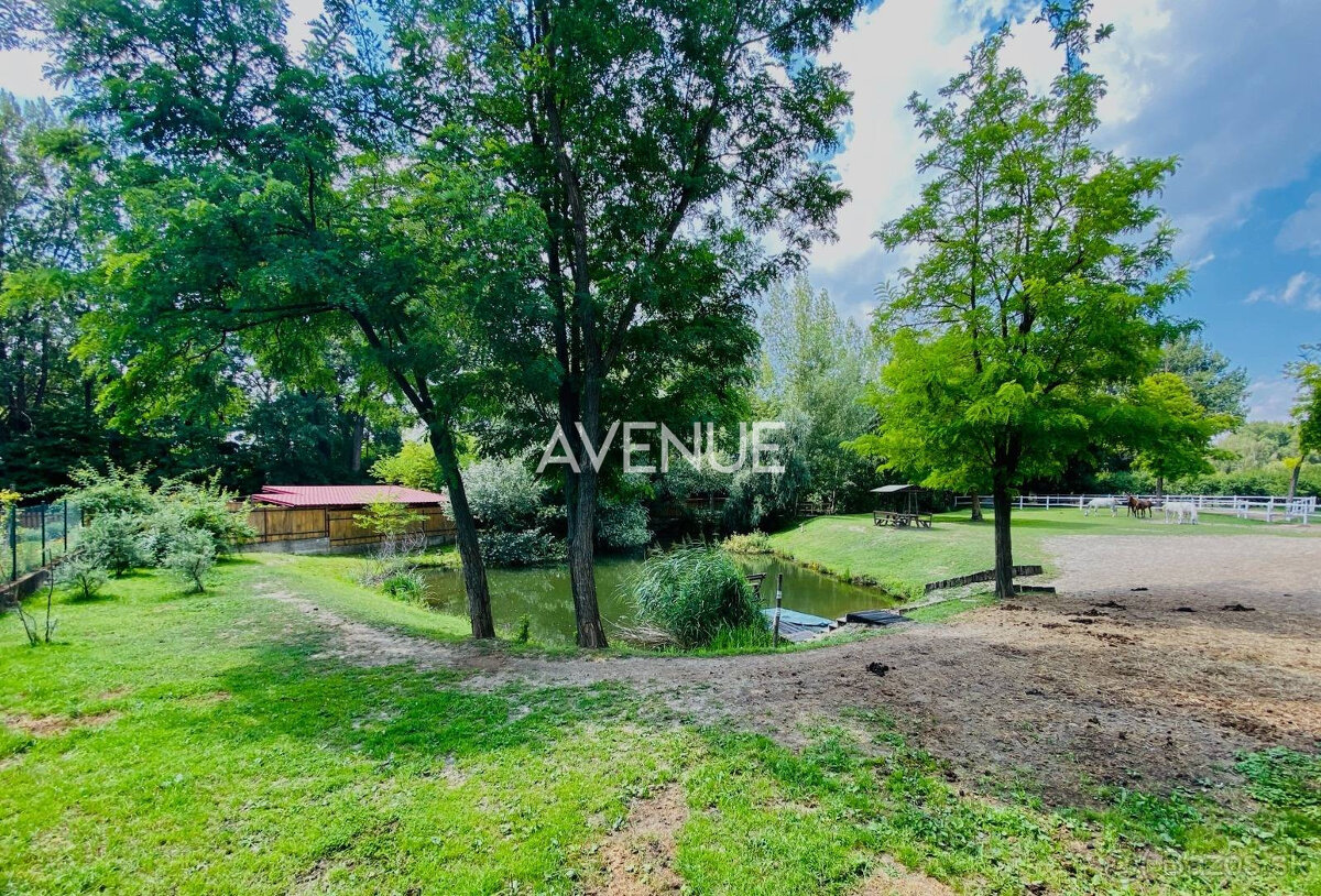 AVENUE I PREDAJ, exkluzívna rodinná usadlosť s jazierkom,Dun - 15