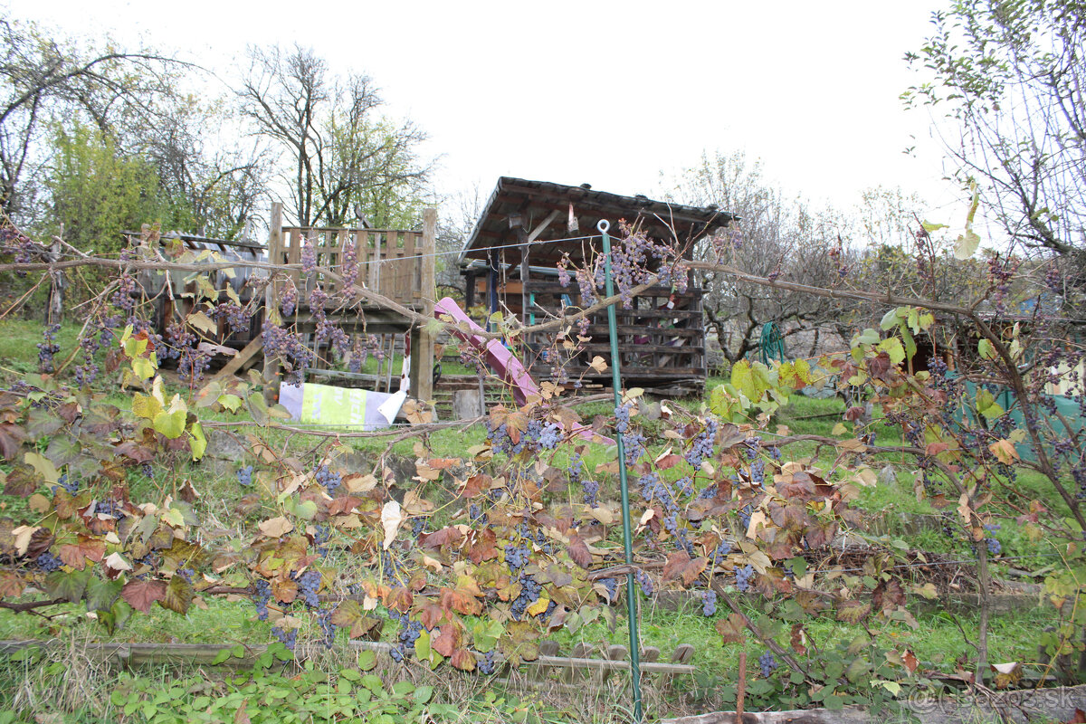 SPEKTRUM REALITY- Na Predaj záhrada 312 m2,, záhradkárska os - 15