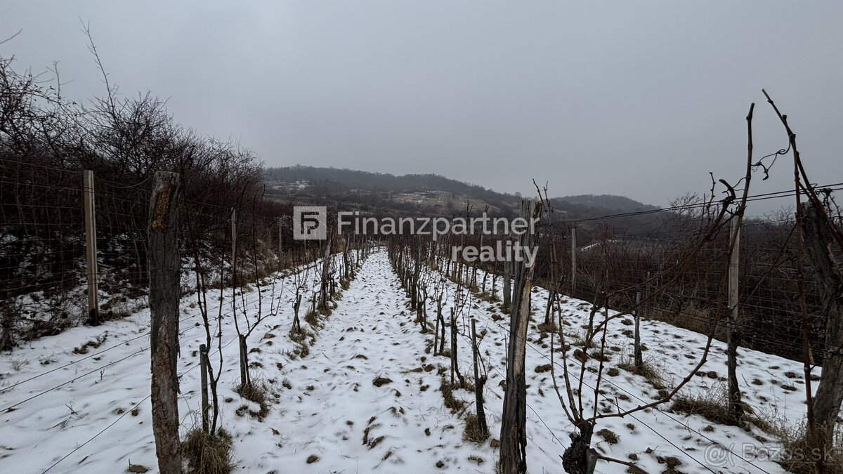 REZERVOVANÉ - Vinohrad 1862 m², v meste Pezinok + 3D - 15