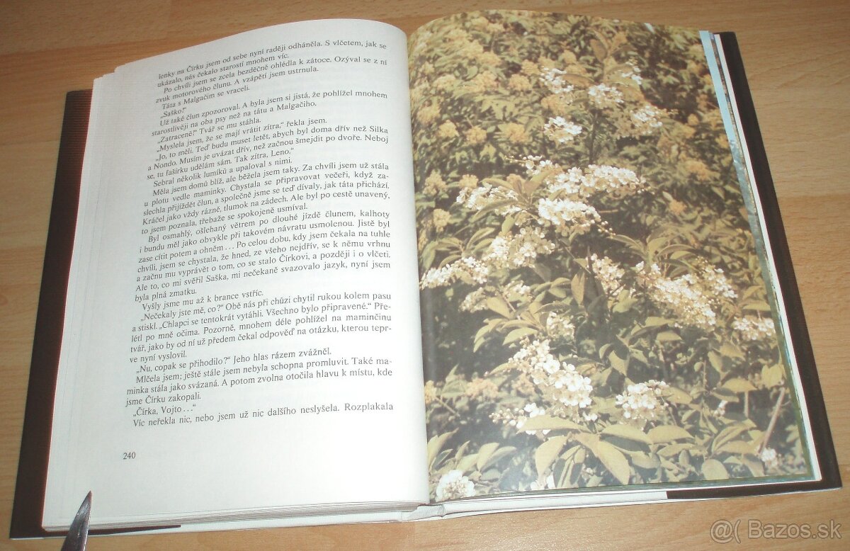 Černý sobol, hnědý medvěd - 15