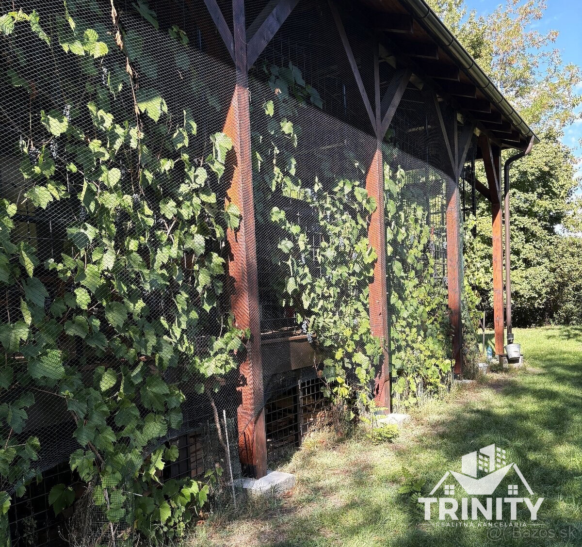 Na predaj pozemky s chatkou medzi mestom Šurany a Palárikovo - 15