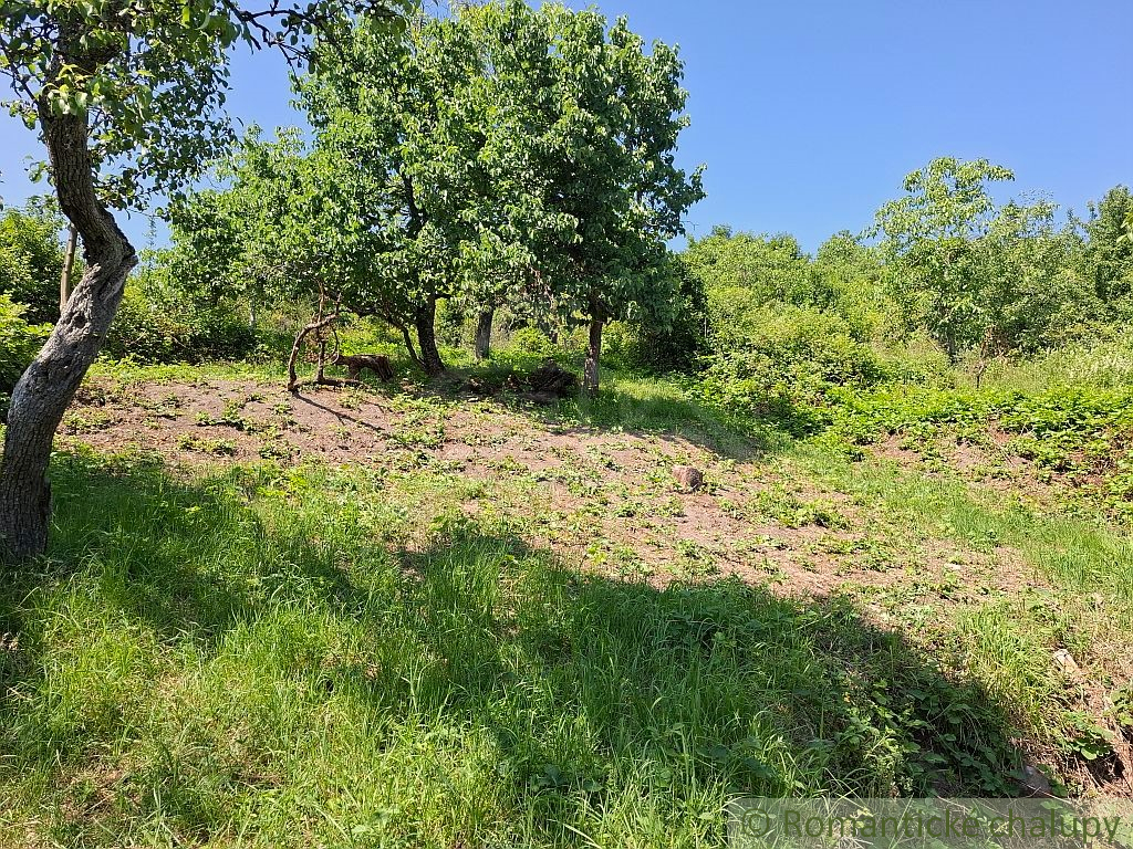 NOVÁ CENA - Jedinečné miesto s výhľadom, pokojom a potenci - 15
