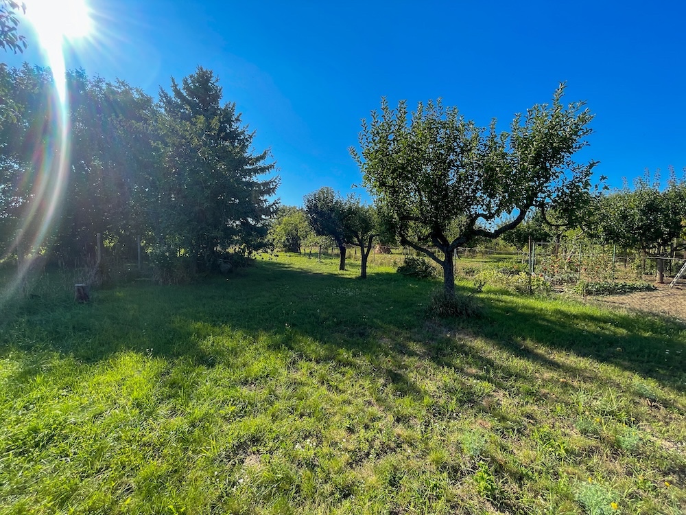 Rodinný dom v pôvodnom stave na predaj, Lúčnica nad Žitavou - 15