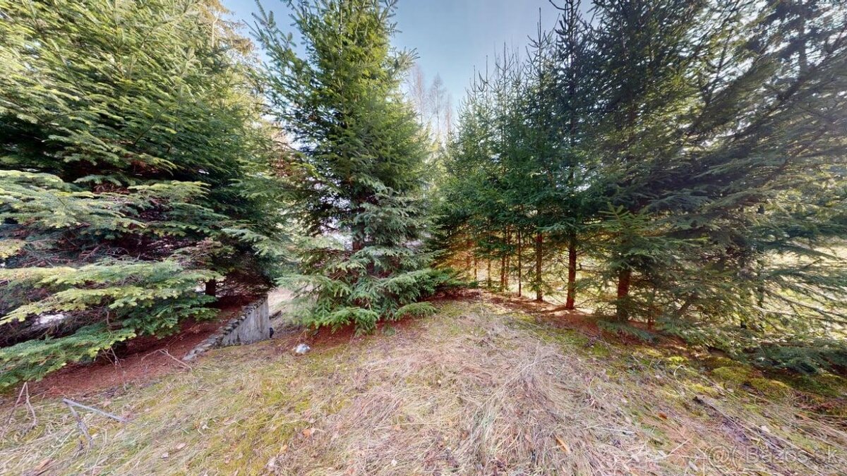 Pozemok v oblasti stavebnej uzávery pri Ružomberku - 15