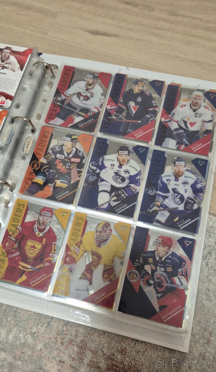 Hokejové kartičky - 15
