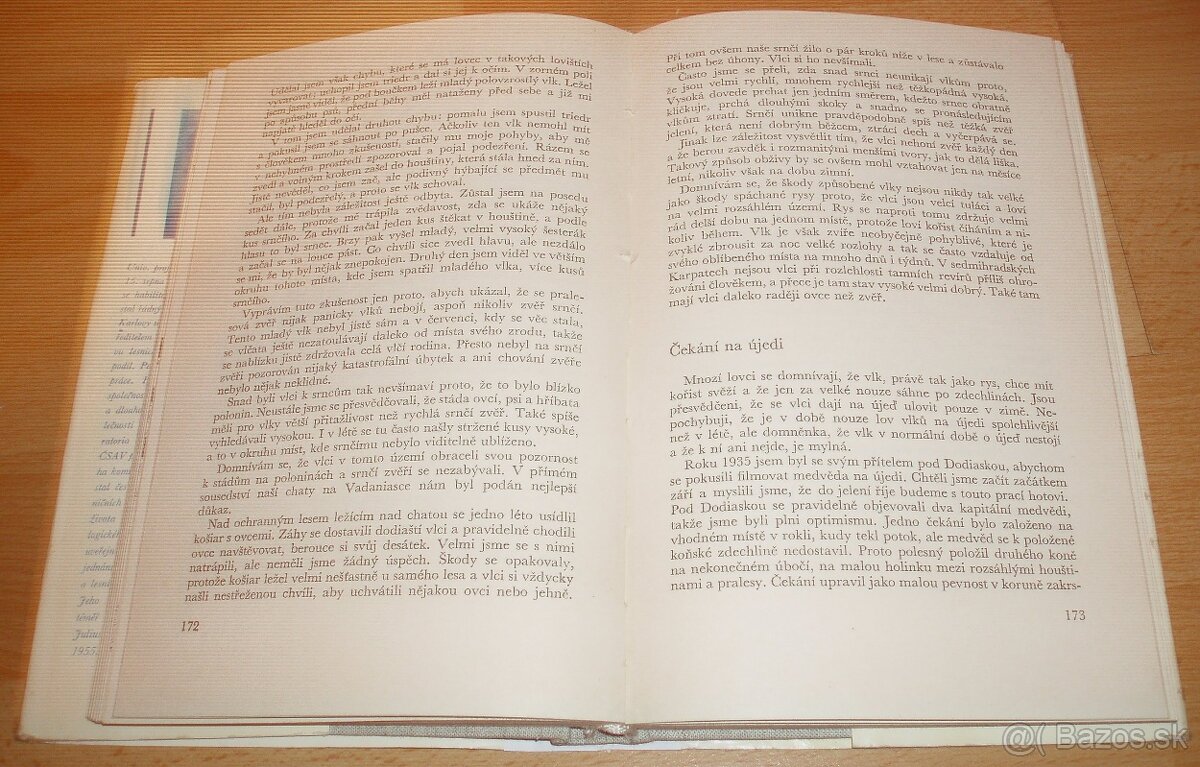 Lovy v Karpatech - 15