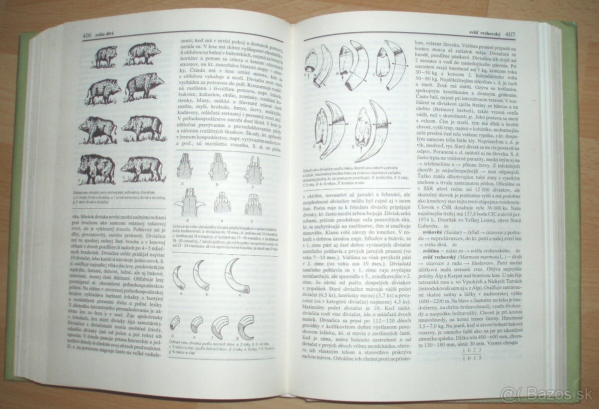 Poľovnícky náučný slovník - 15
