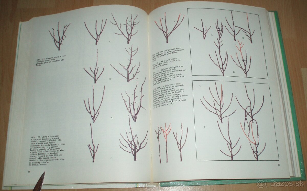 Tvarovanie a rez ovocných drevín - 15