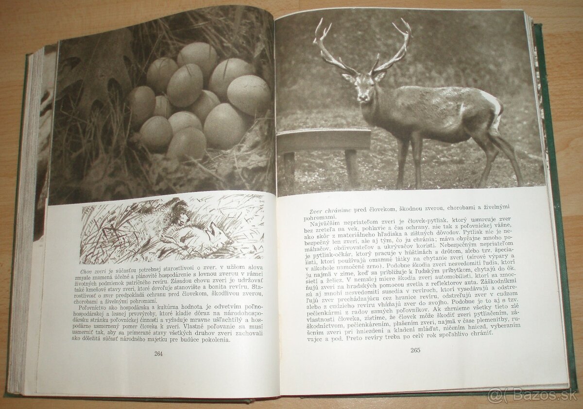 Poľovníctvo v obrazoch - 15