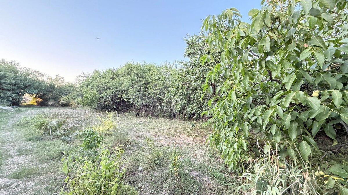 MAĎARSKO - HEJCE PEKNÝ 3 IZBOVÝ RODINNÝ DOM NA VEĽKOM POZEMK - 15