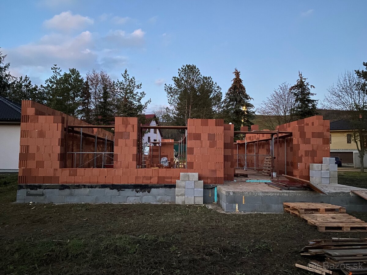 LEŠENIE - DEBNENIE - 15