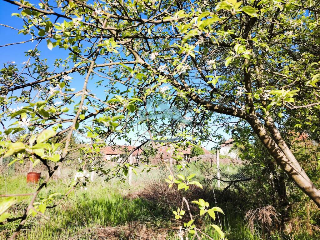 Na predaj samostatný rodinný dom v Ipolyveci vo veľmi dobrom - 15