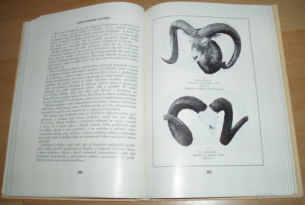 Zlaté trofeje ČSSR - 15