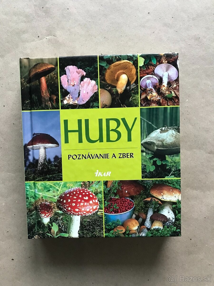 Čičmany, Bratislava zadným vchodom 1918 -2005, Spiritismus - 15