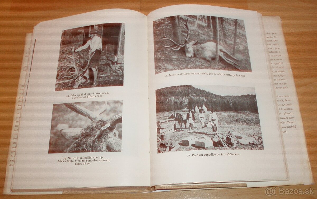 Lovy v Karpatech - 15