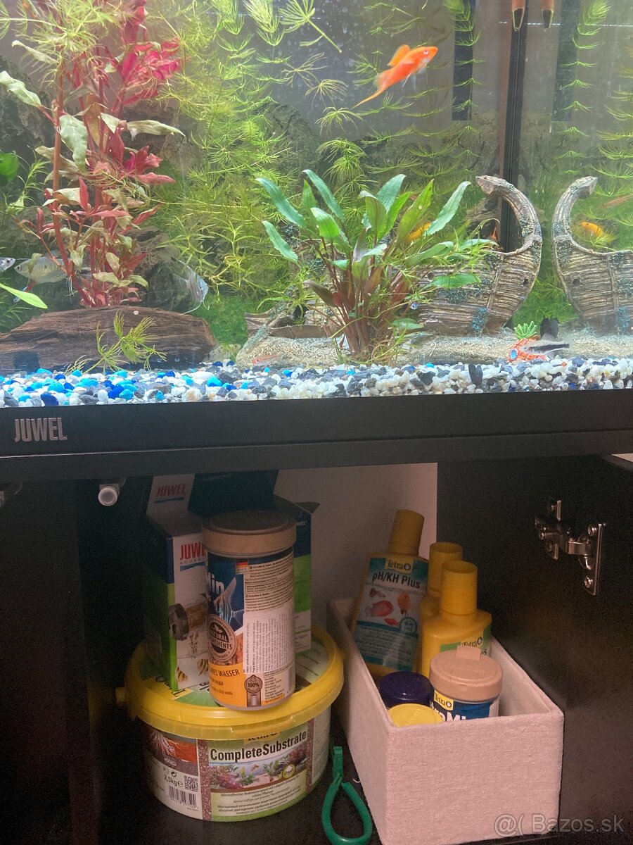 Akvarium, rybičky, rastlinky - 15