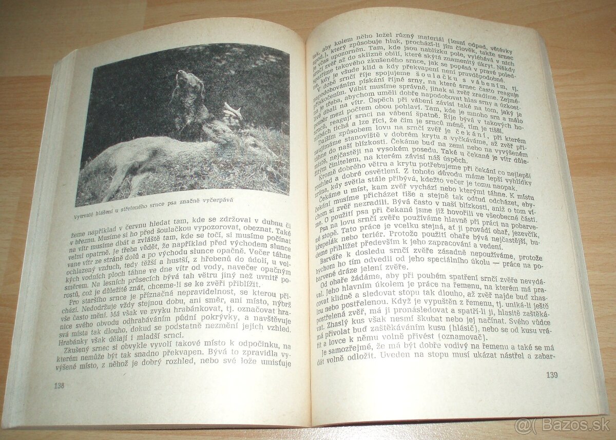 Práce psa při lovu - 15