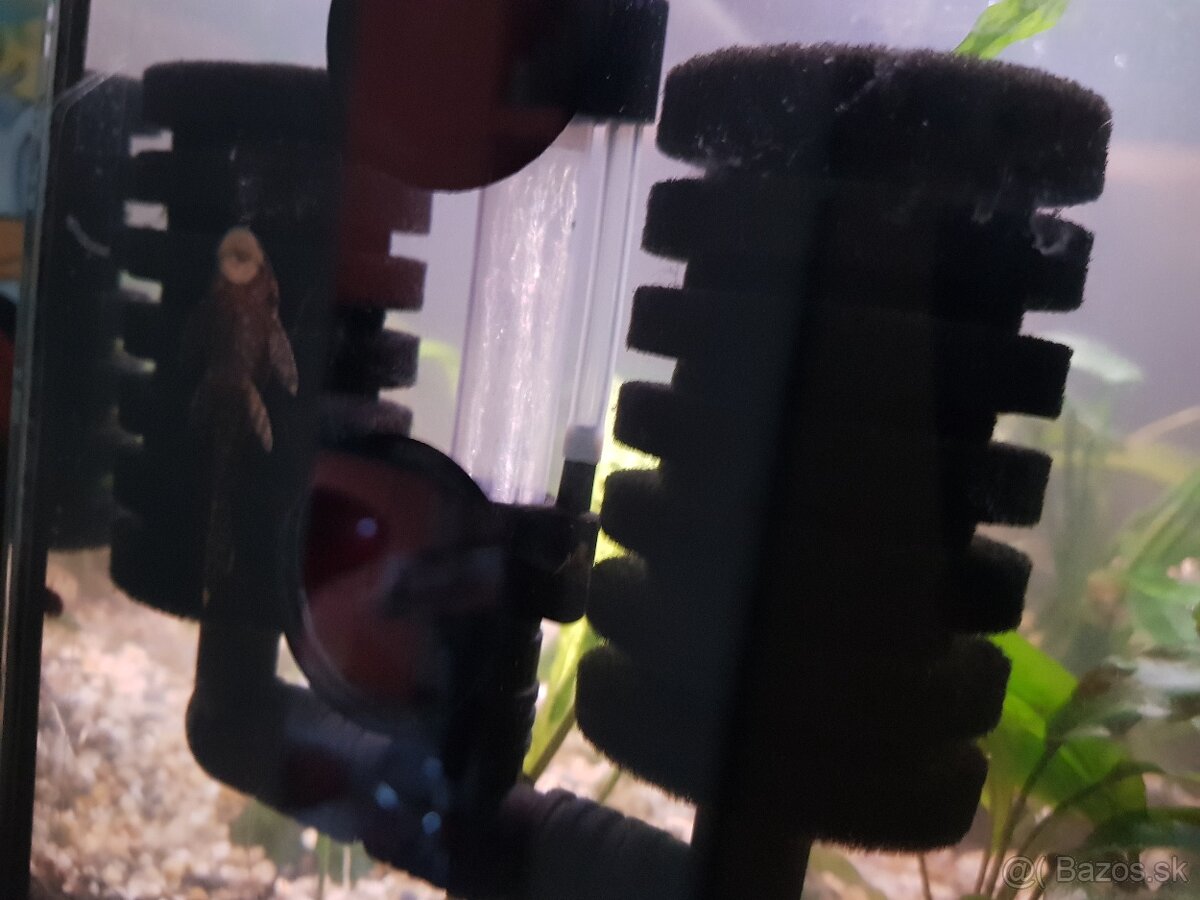 zabehnuté 54 litrové akvárium - 15